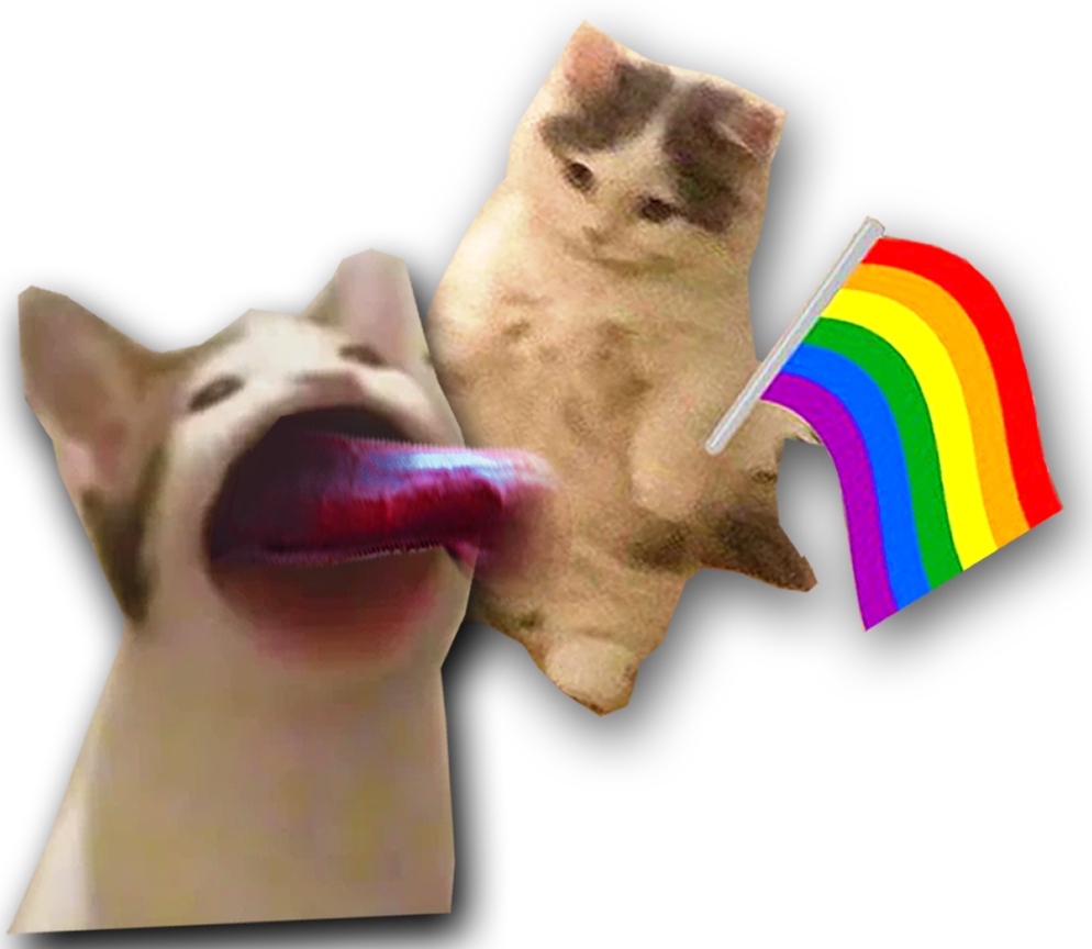 sus cats