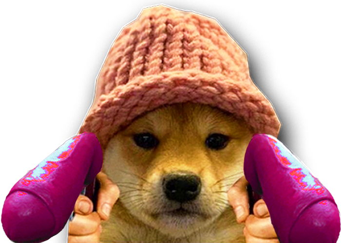 sus dog